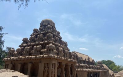 Don’t Hold Back Anymore