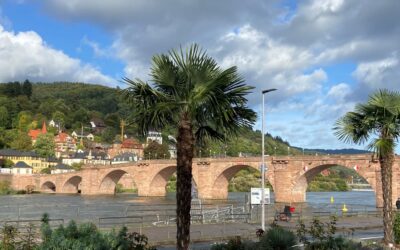 Don’t Give Up Your Freedom To Choose