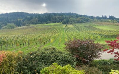 Who Has Been The Biggest Influence In Your Life