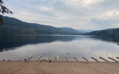 The Power Of An Apology