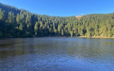 Appreciate, Don’t Compare